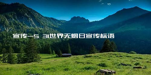宣传-5 31世界无烟日宣传标语